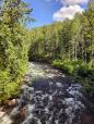 Train to Denali